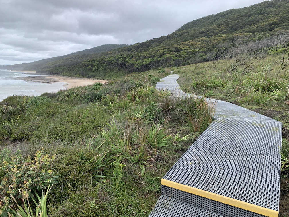 walking track along coast, alternative therapies for dementia